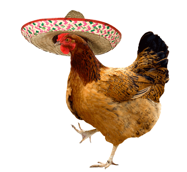 Dancing Chicken